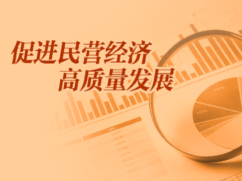 專題丨促進民營經(jīng)濟高質量發(fā)展